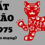 Hình ảnh minh họa Tử Vi Ất Mão 1975 - Nam Mạng 2024