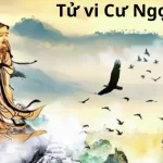 Tử vi Cư Ngọ là gì?