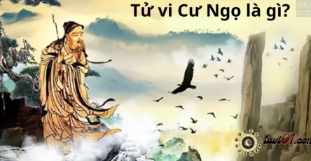 Tử vi Cư Ngọ là gì?