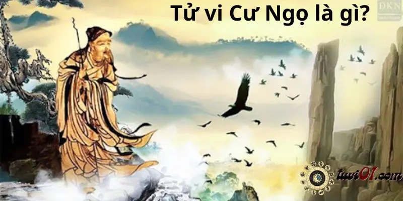 Tử vi Cư Ngọ là gì?